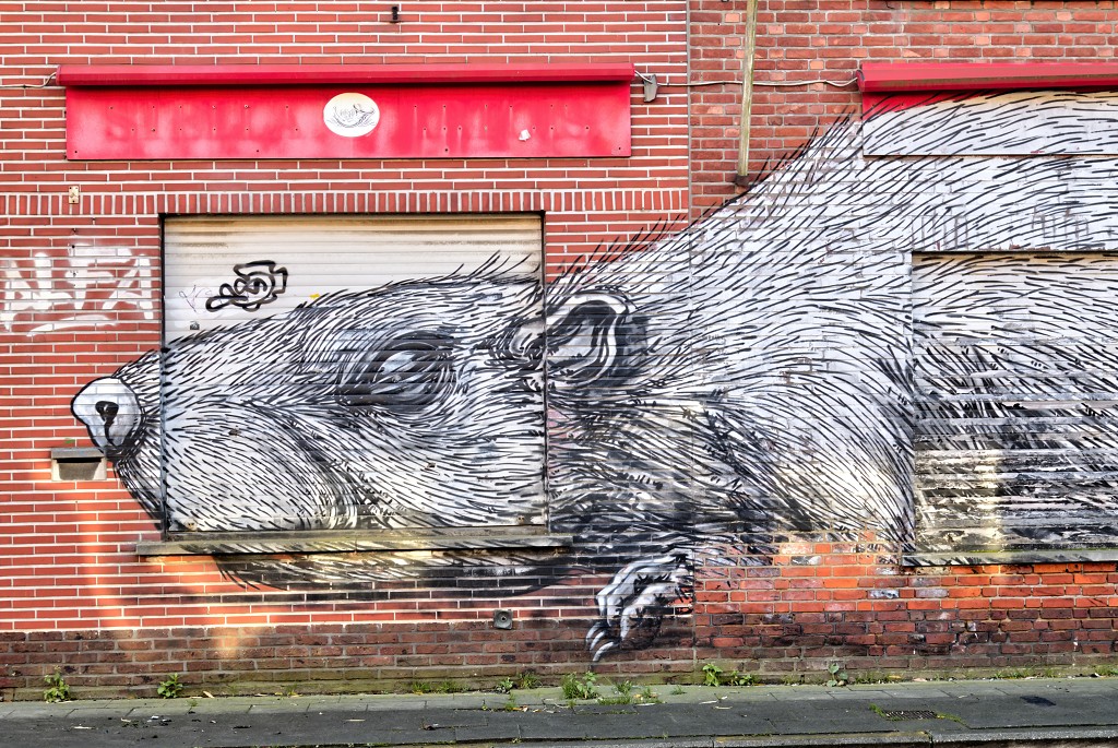 graffiti doel belgie roa hdr urbex art kunst kunstwerk mural murals